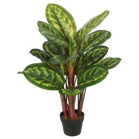 DARE2DECOR Peacock Plant Everyday Tree with Pot-Green & Brown - 3 ft. DA582982